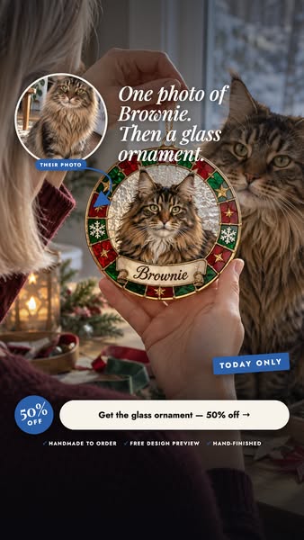 Only now: 50% OFF
