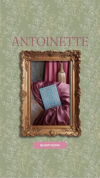Shop the Antoinette Collection
