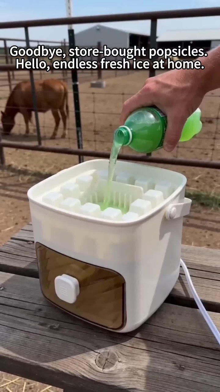 Handled Press-Type Ice Cube Tray (Double-Layer)