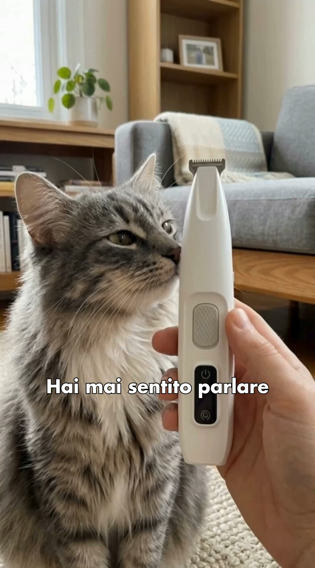 La bacchetta magica contro i nodi