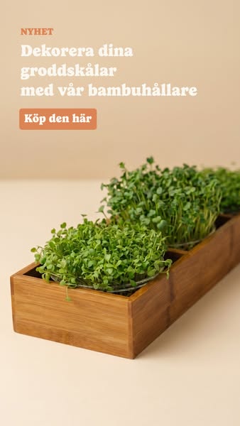 Bambuhållare för mikrogrönt