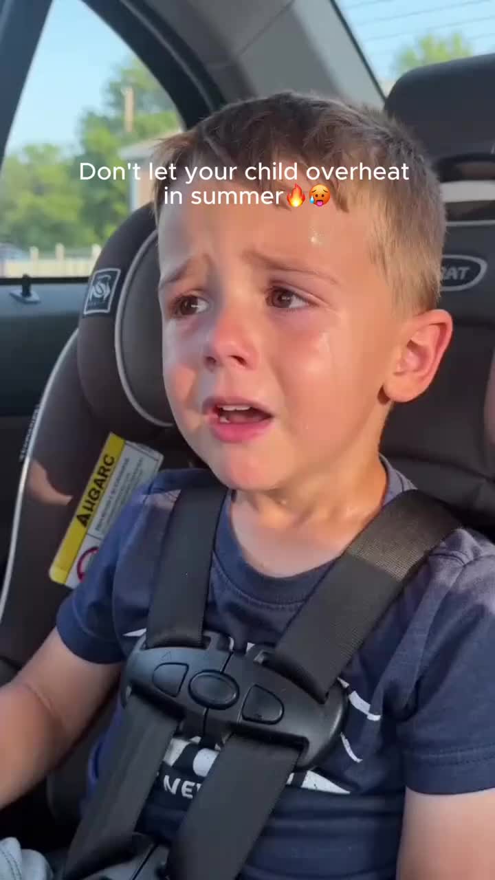 Car Seat Fan