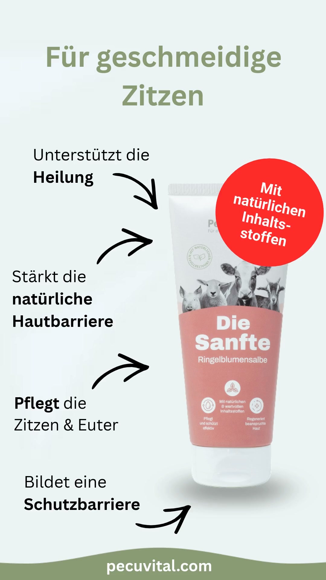 Verhornte Zitzen richtig pflegen