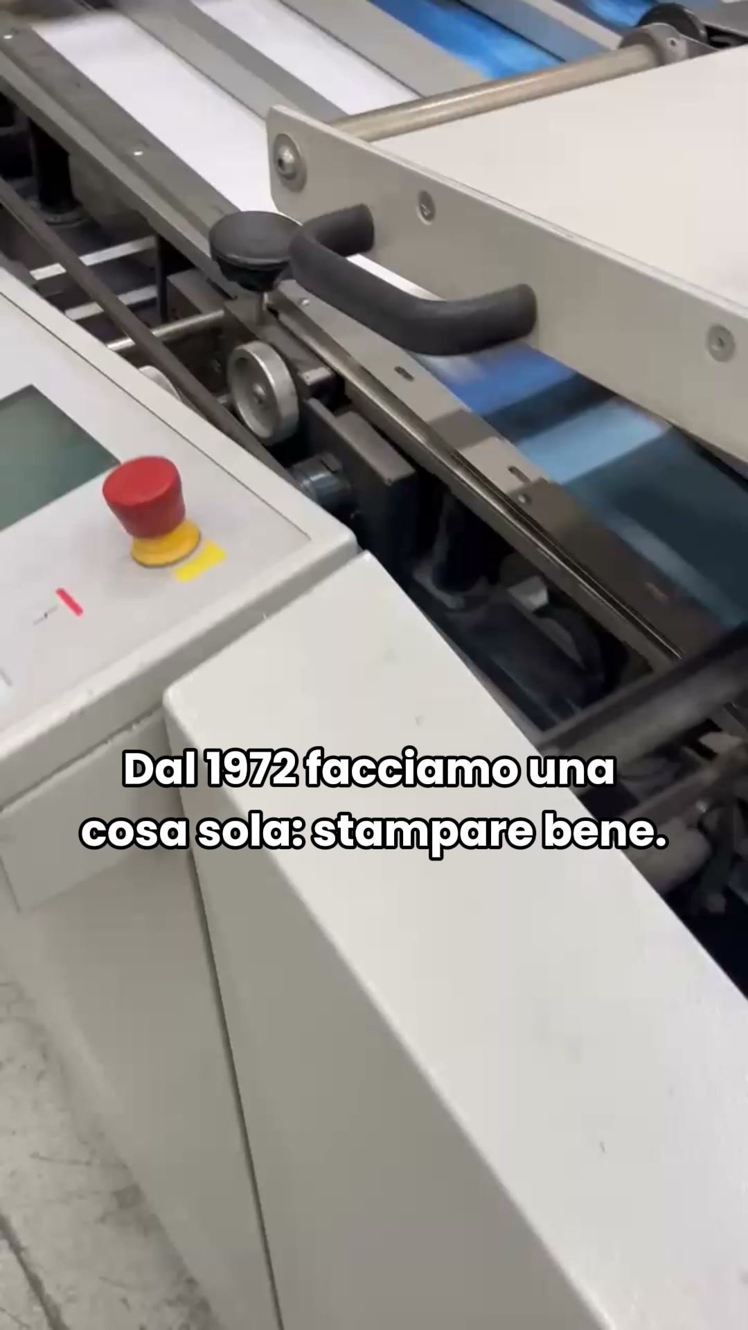 Spedizione SEMPRE GRATIS!