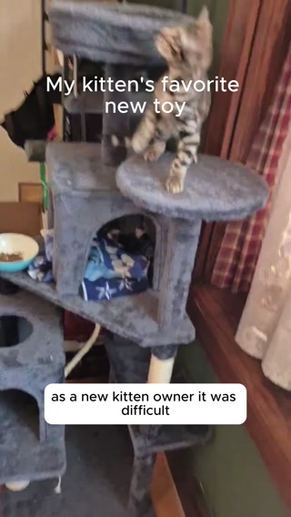 Trusted by Cat Lovers, Loved by Kitties!