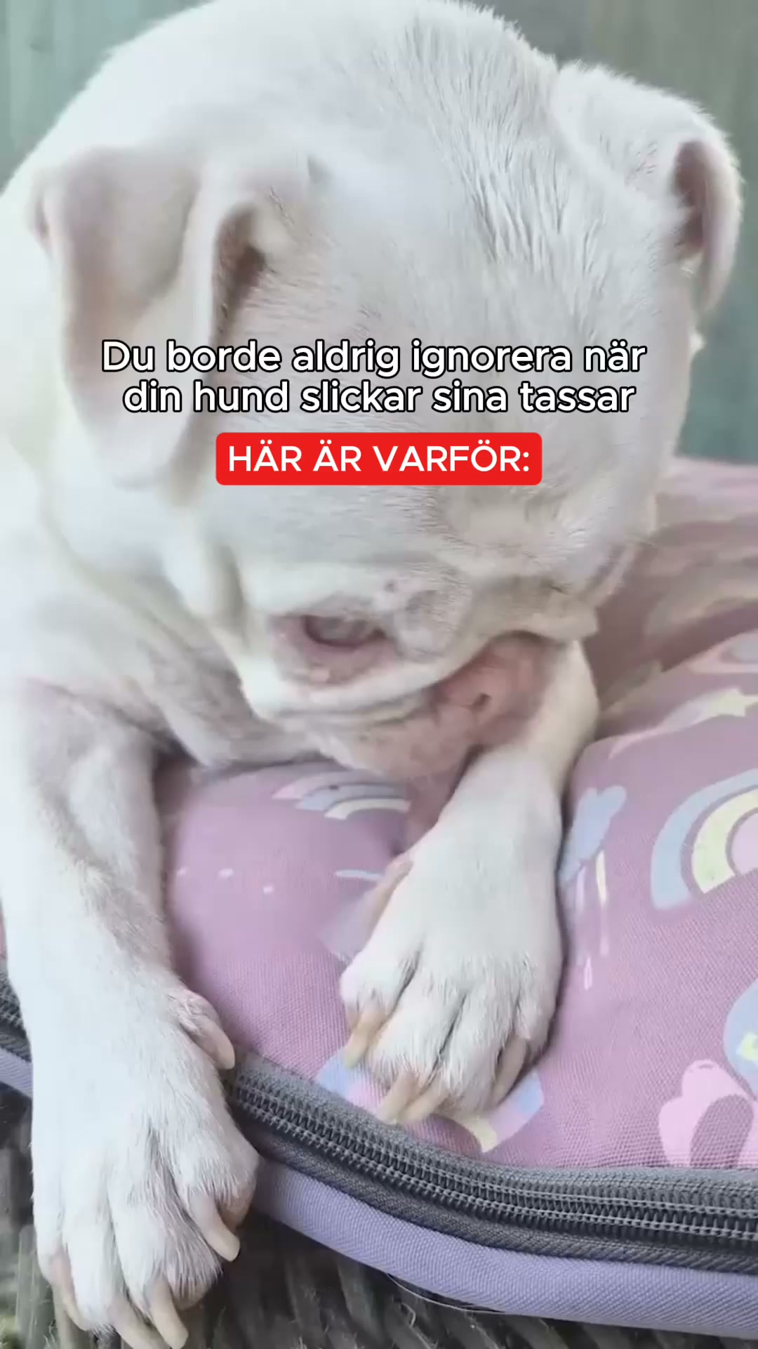 7 skäl till att det är samma problem