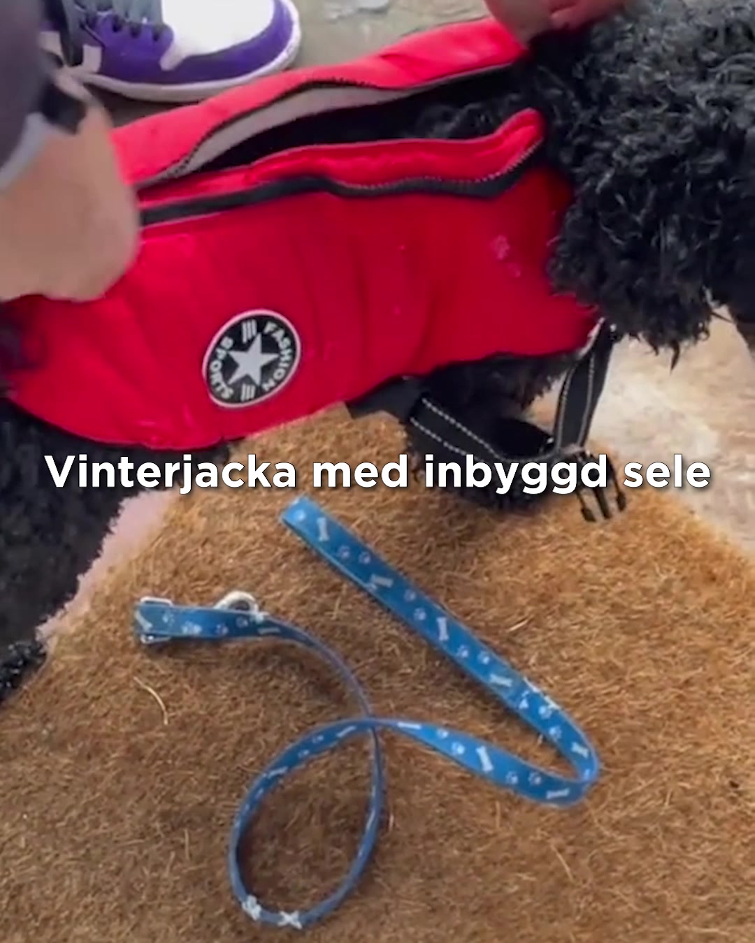 För hundar som fryser lätt