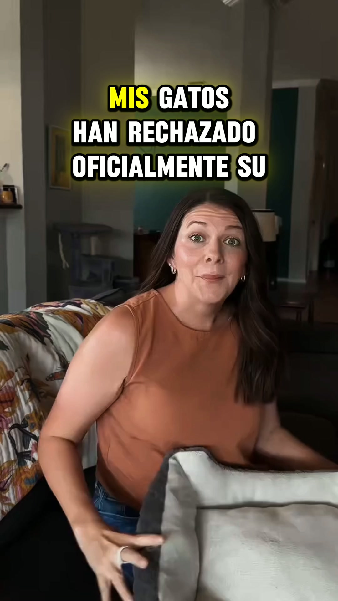 Nidora™ - el rincón favorito de tu gato