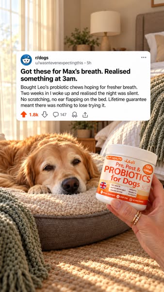 Try RISK FREE. Don't love it? We'll give you a refund.