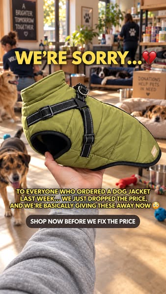 10%OFF CODE : DOG10