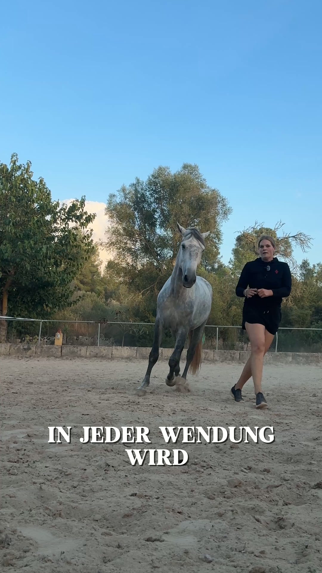 Verstehe, was im Pferdekörper zusammenhängt