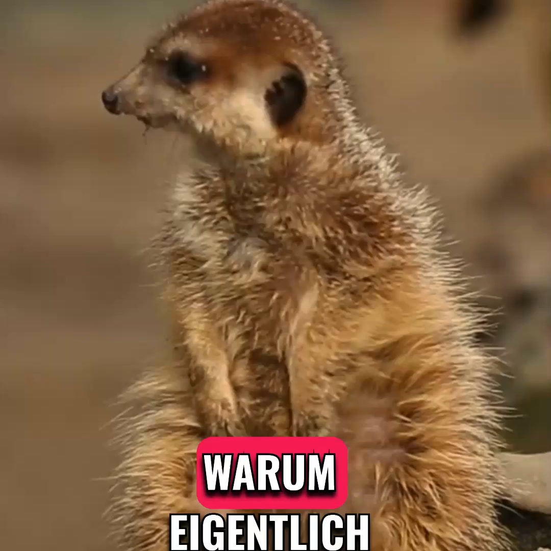 Reißverschluss statt Risiko!
