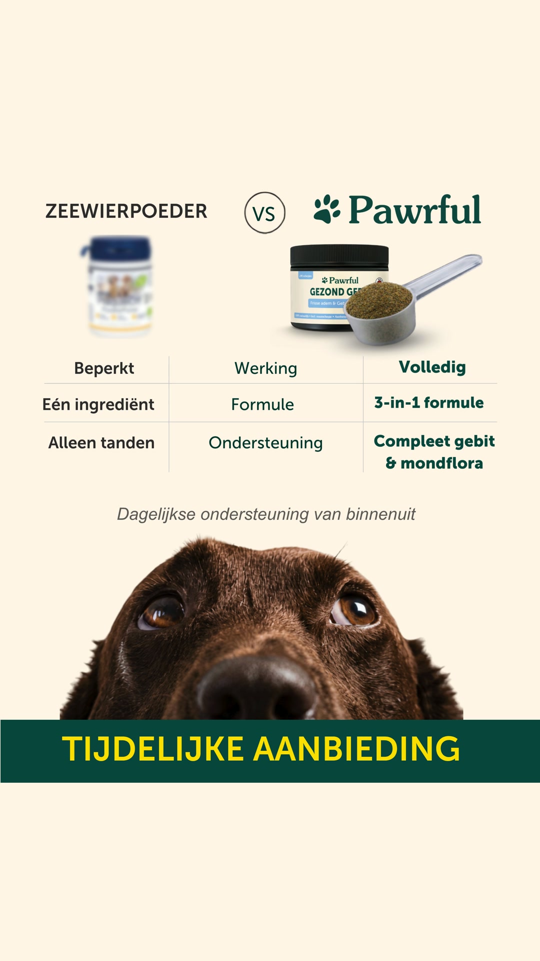 NU: Tijdelijke korting + Gratis verzending