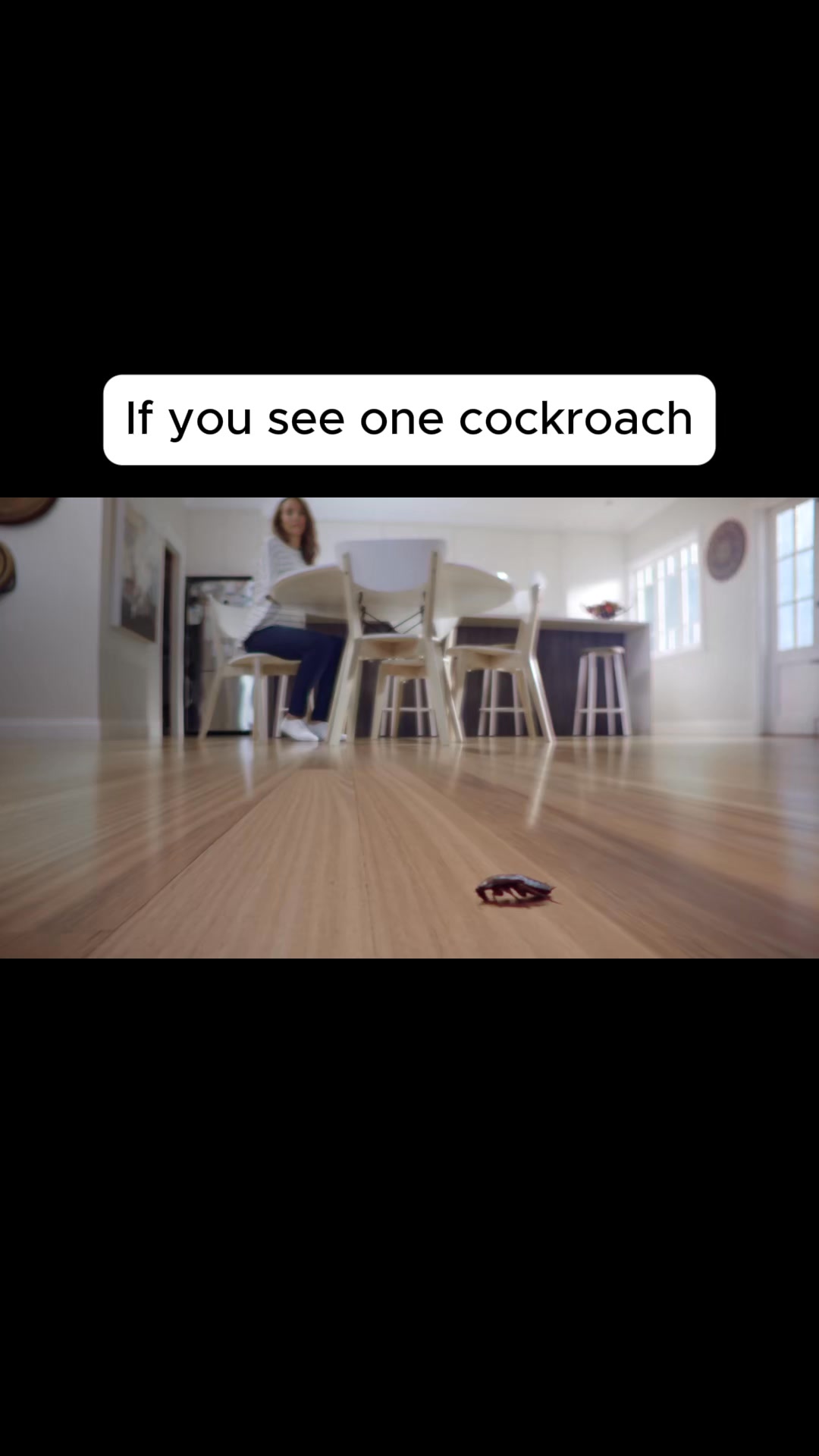 Anúncio de Roach Doctor