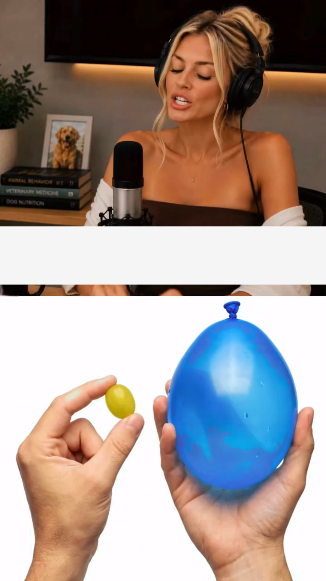 50% Zniżki do wyczerpania Bezplamki