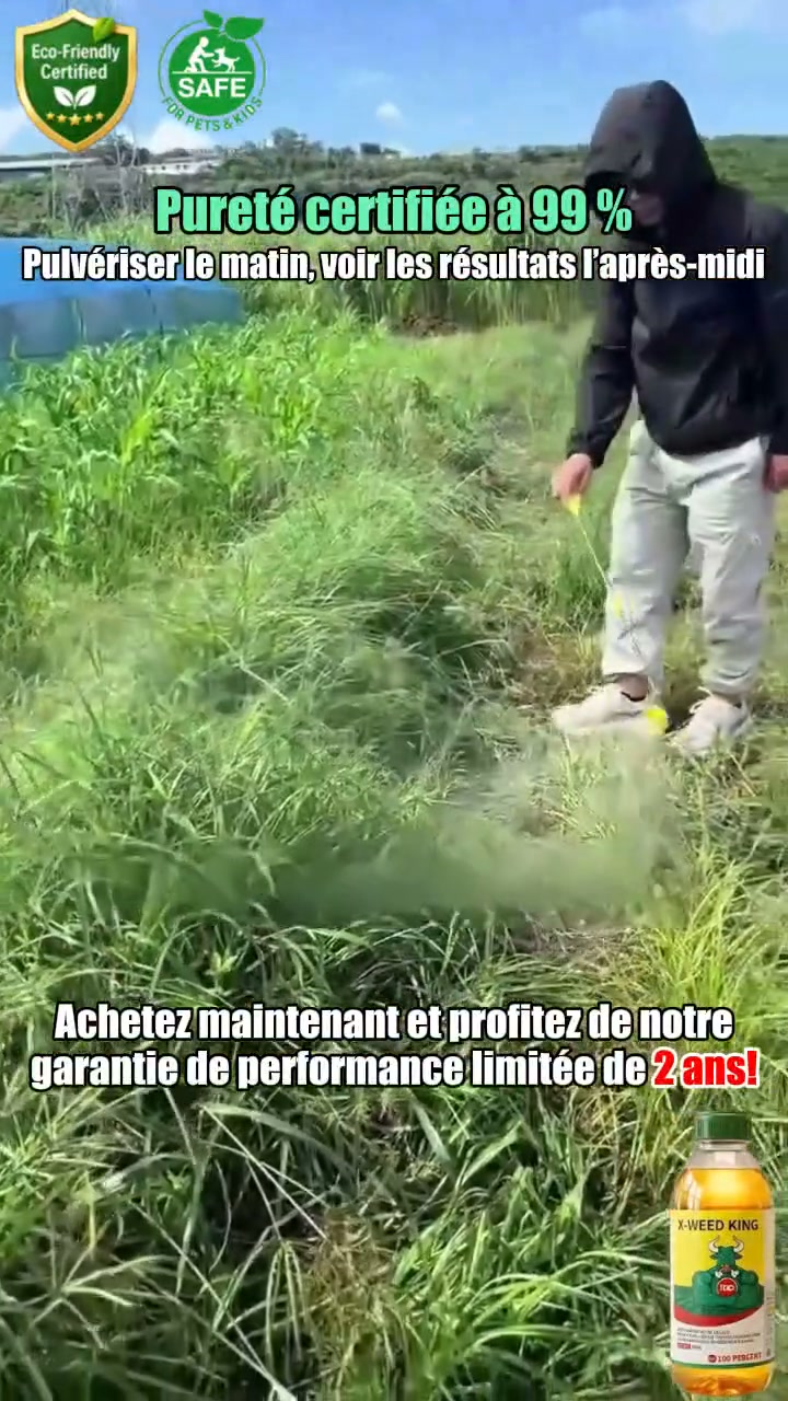 50 % Aujourd'hui seulement