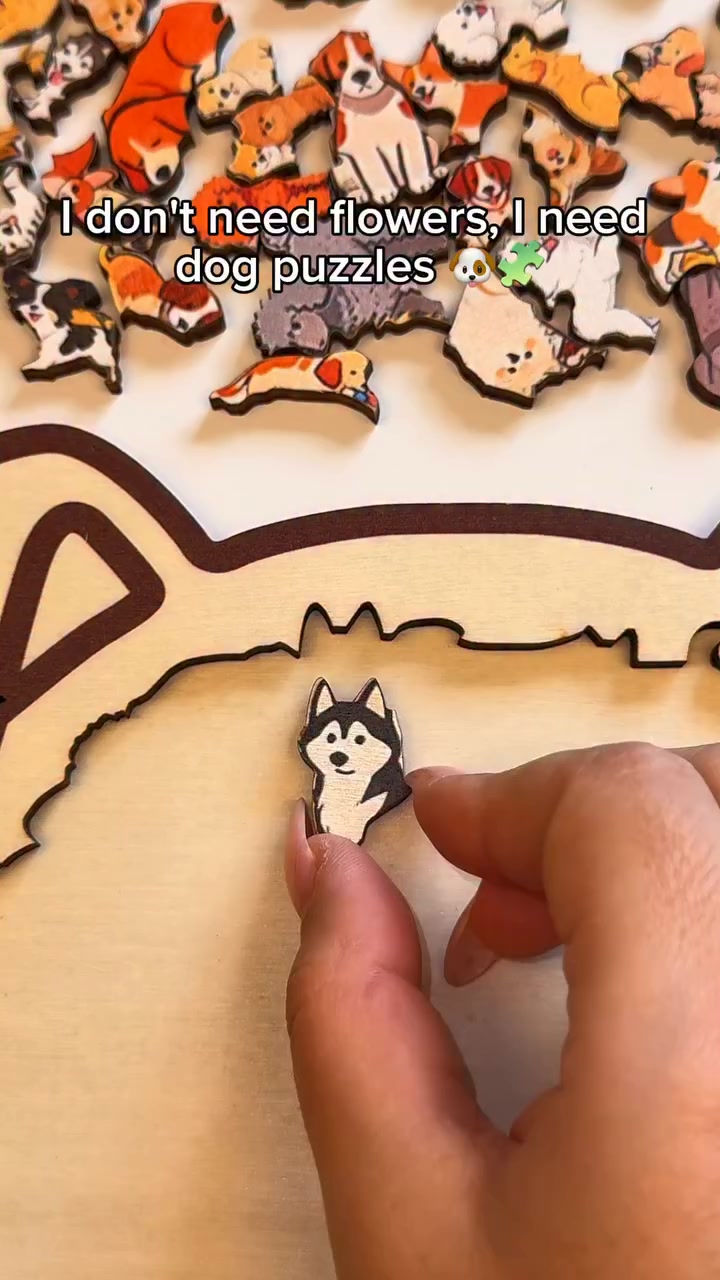 Deze puzzel heb je vast nog niet