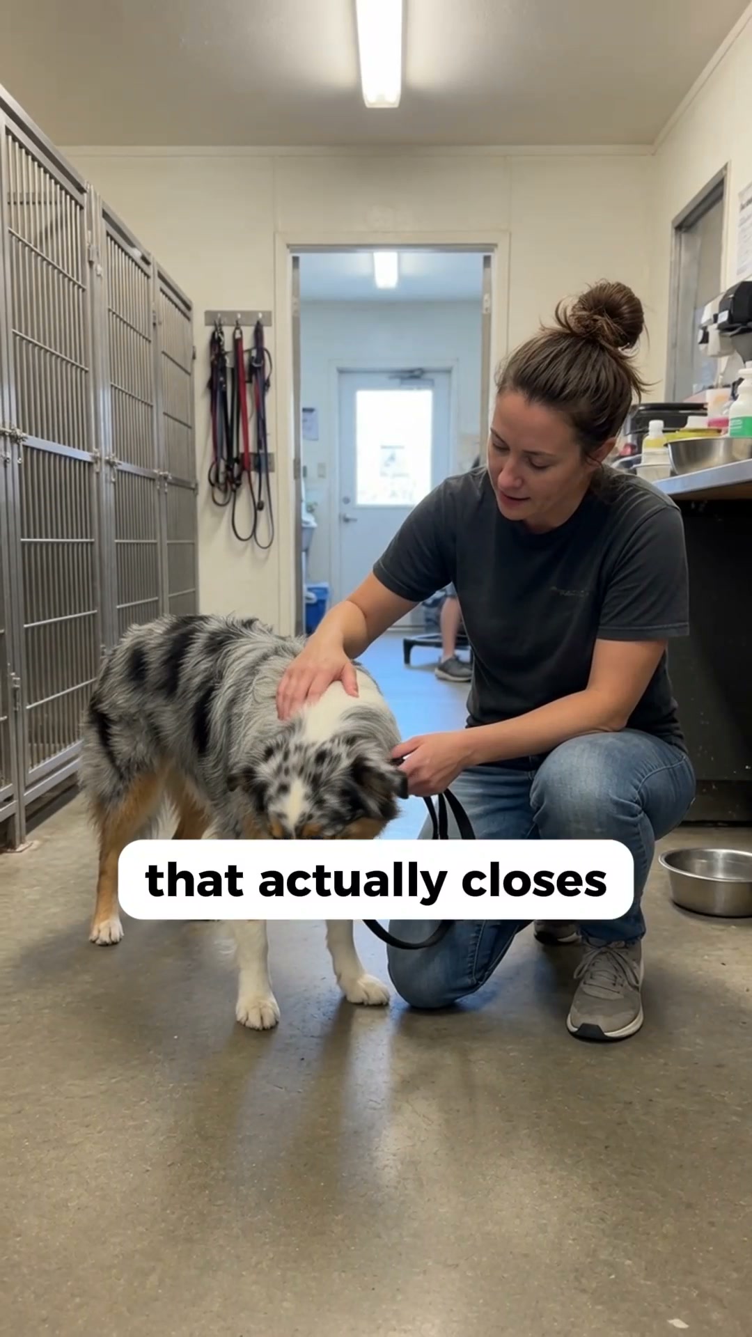 The One Thing Your Dog Actually Needs