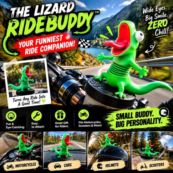 For the Rider Who Has All the Gear