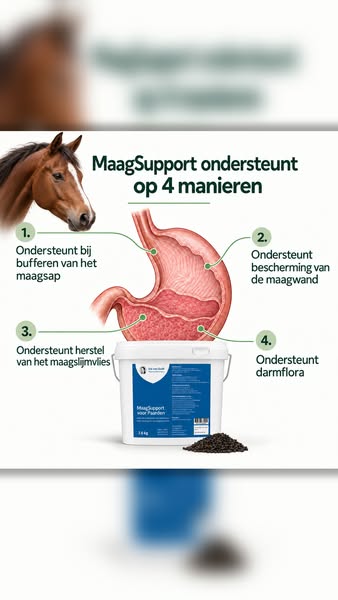 Ondersteun van binnenuit