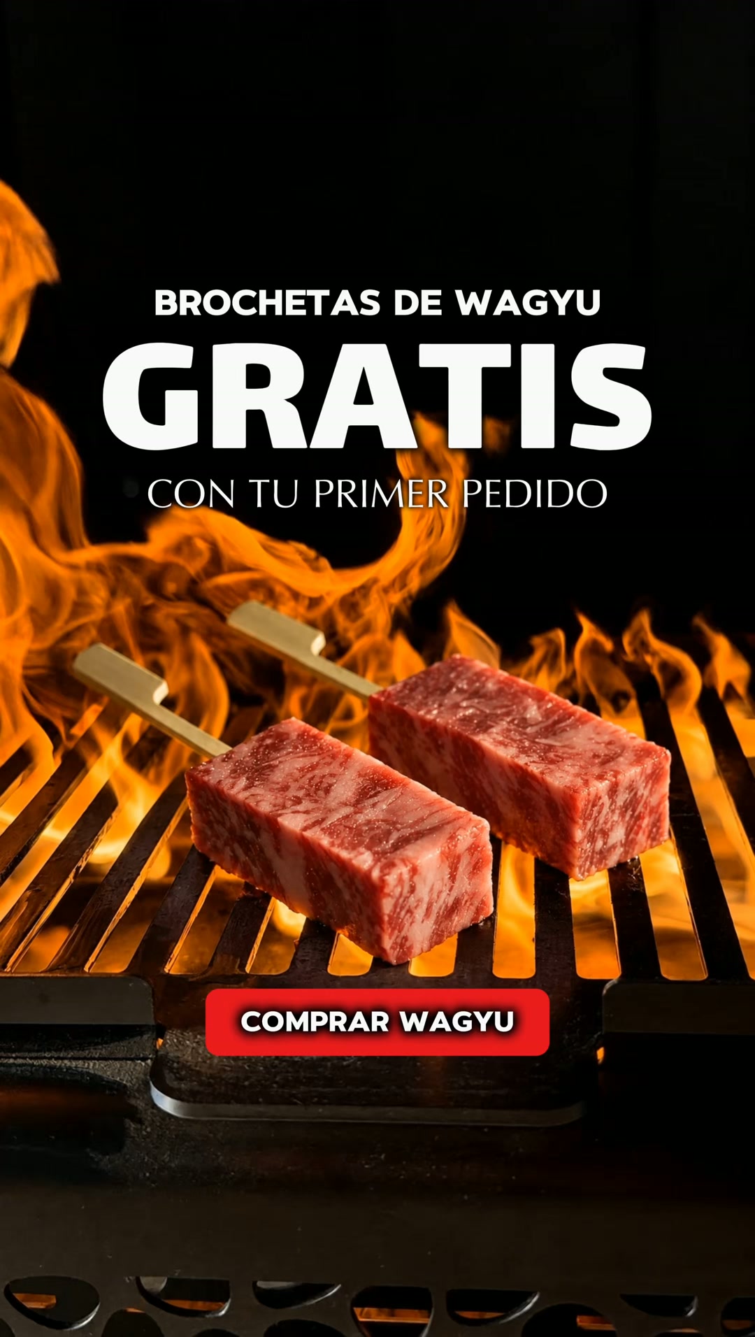 Brochetas de Takumi Wagyu