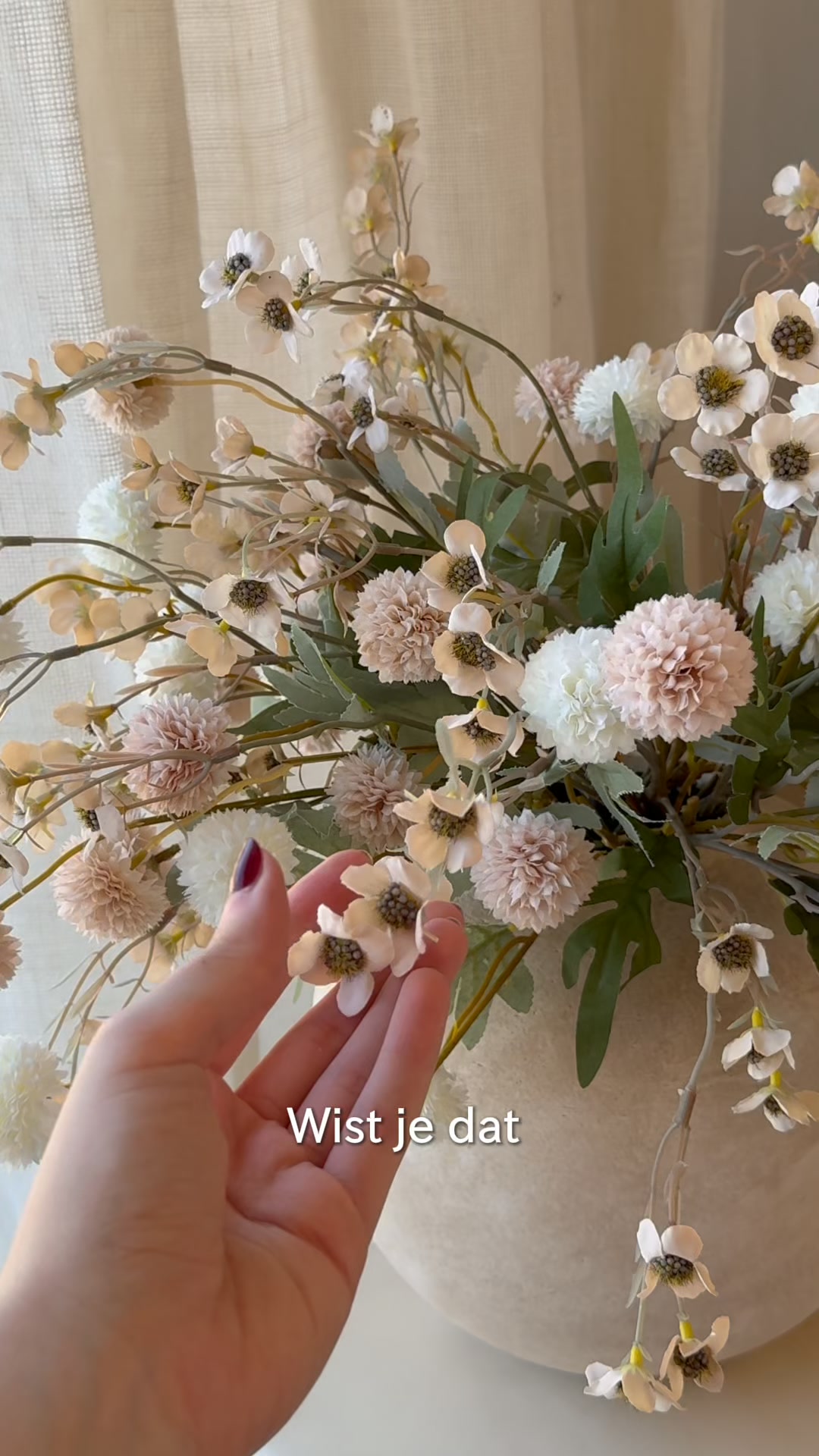 Nooit Meer Verwelkte Bloemen