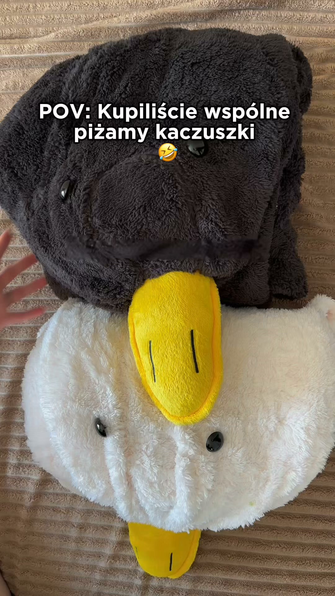 Zimno? Poznaj Kocostwory!