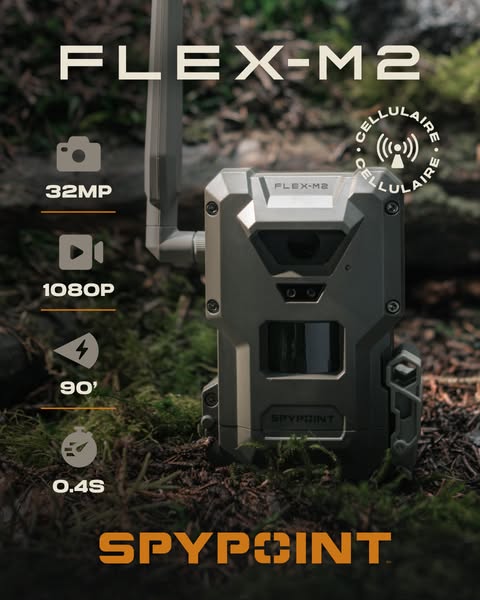 Le piège photo 4G FLEX-M2 - Ne manquez plus aucune prise