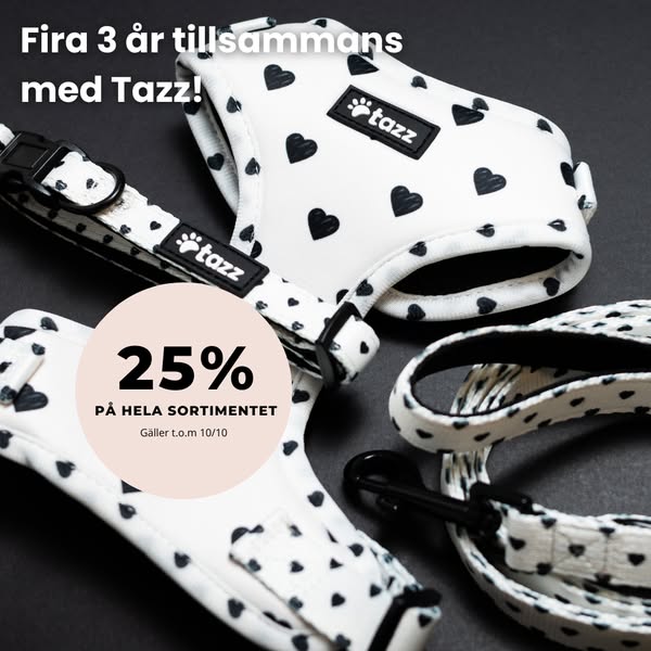 25% på allt – t.o.m. 10/10