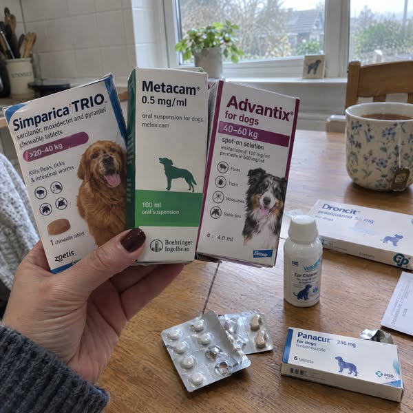 30 Years of Dogs. Finally the Answer.