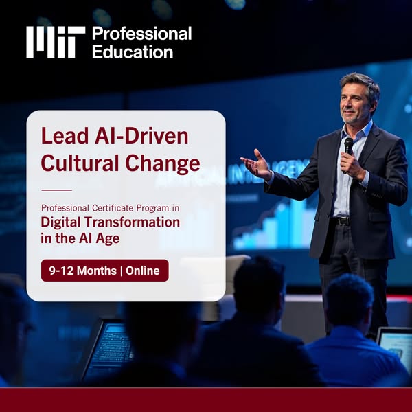 AI Adoption Strategies