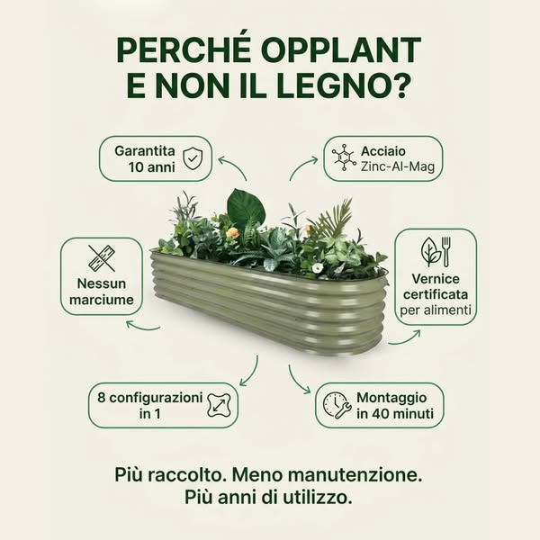 Hai letto la storia. Ecco i fatti, senza fronzoli.