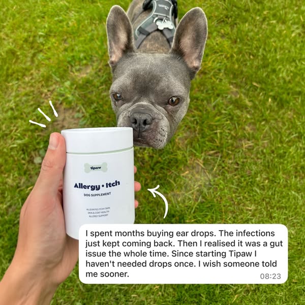 Shop Tipaw Today
