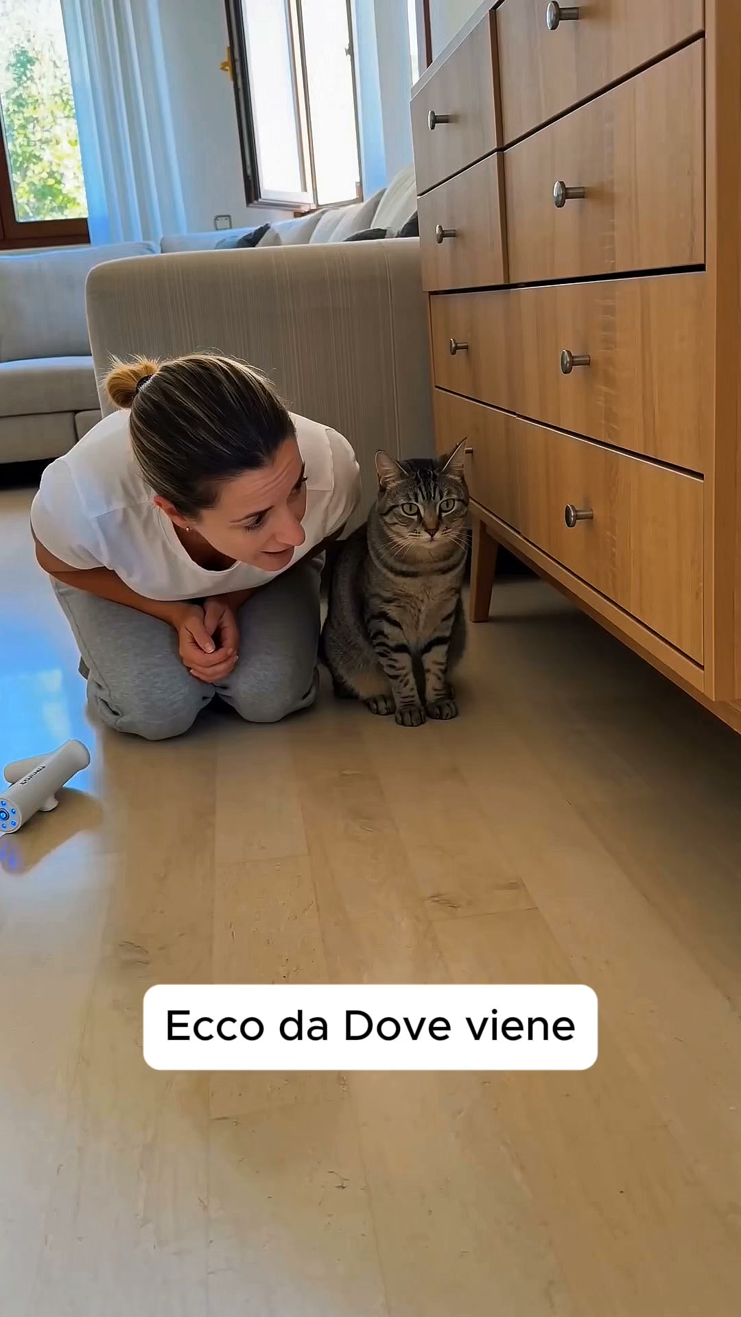 Elimina Velocemente Gli Odori Di Cane e Gatto!
