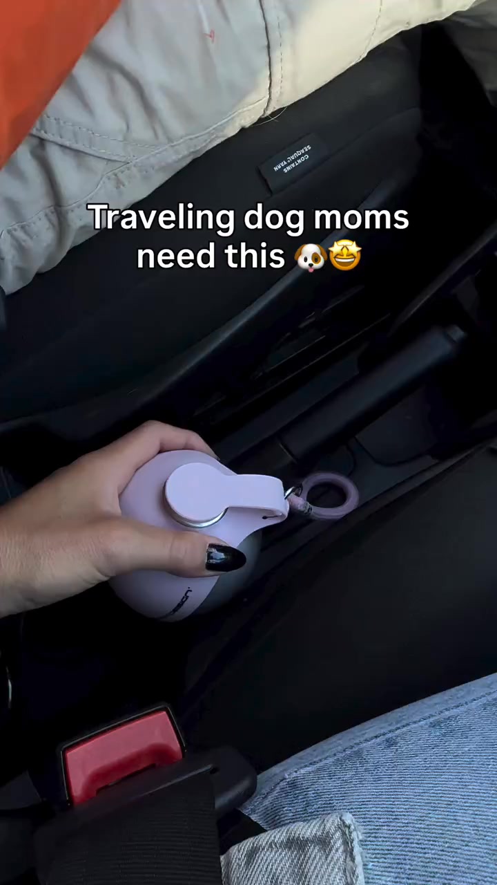 Good dog moms bring water on road trips too.