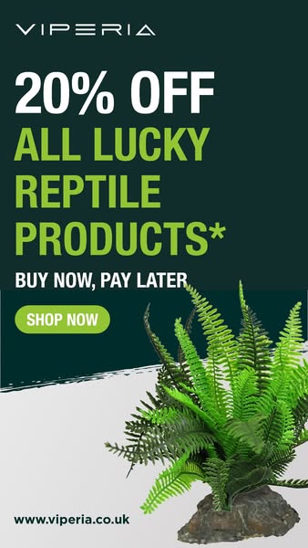 SAVE UP TO 20% OFF LUCKY REPTILE PRODUCTS!