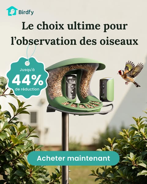 Plongez dans la nature. Économisez jusqu'à 40 %.