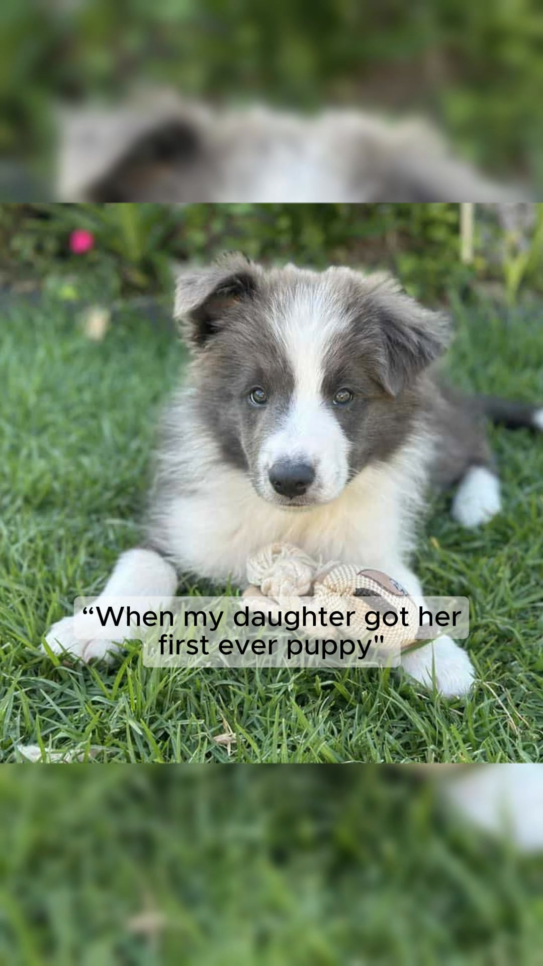 A gift they’ll never forget