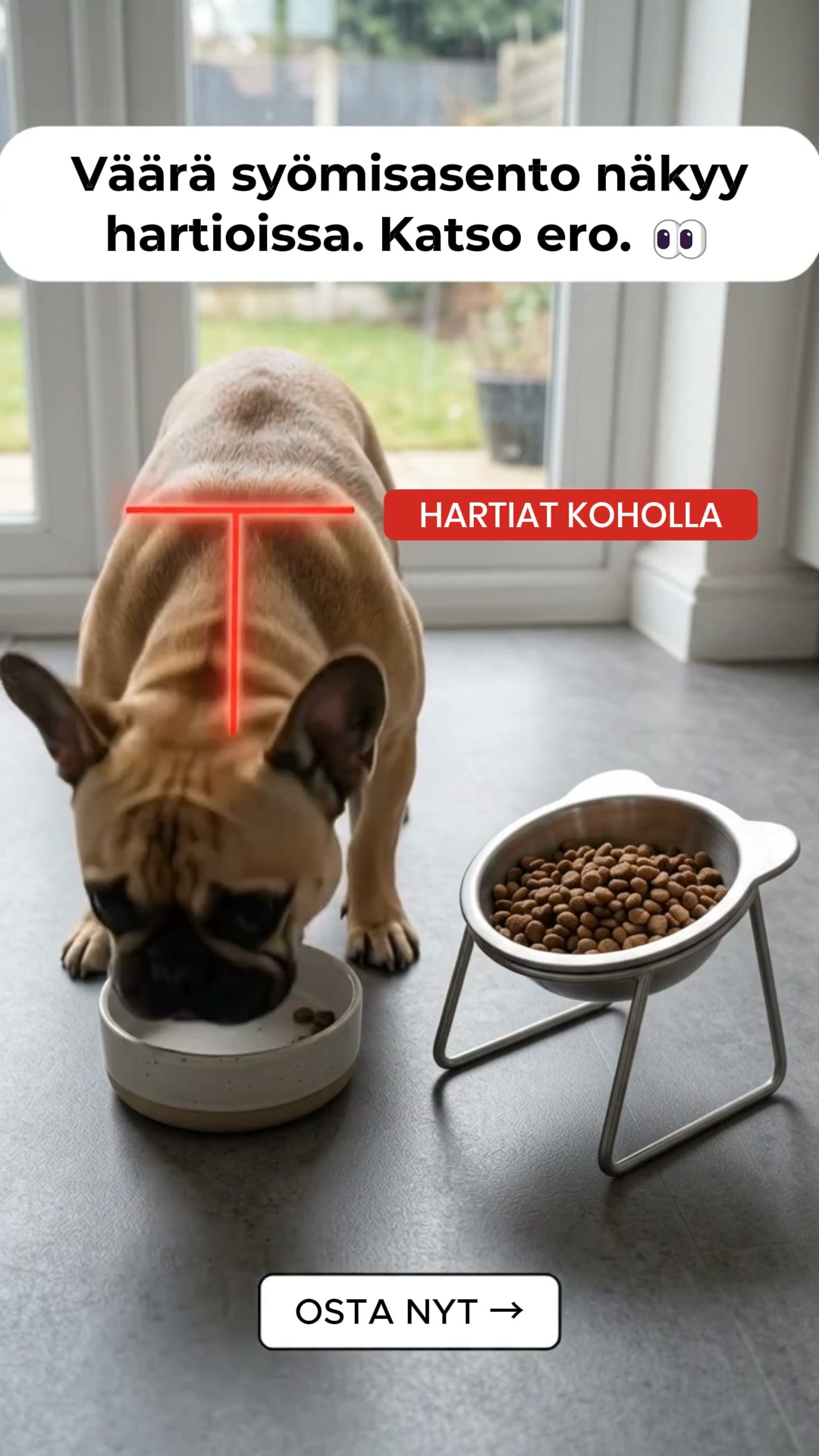 Unohda muovi. Paranna ruokailuhetkeä.