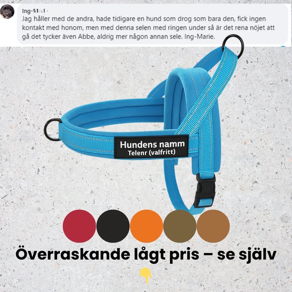 Hundsele med antidrag