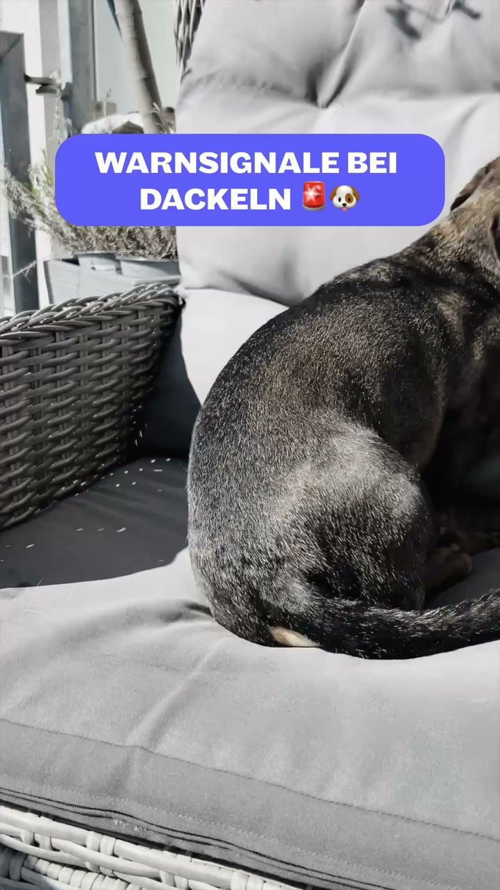 Jetzt 30% Test-Rabatt sichern
