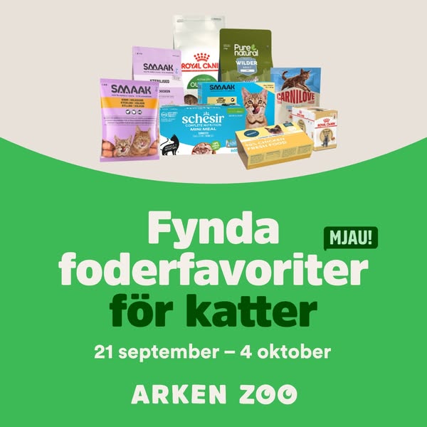 Till kampanjen