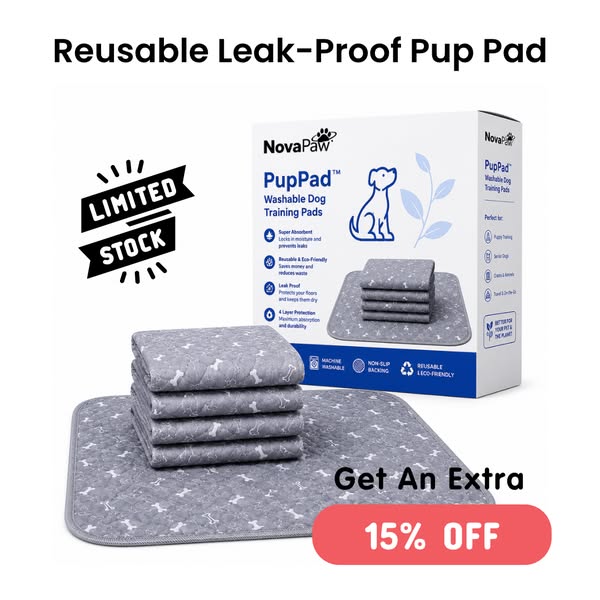 The Pad Dogs Are Drawn To On Instinct