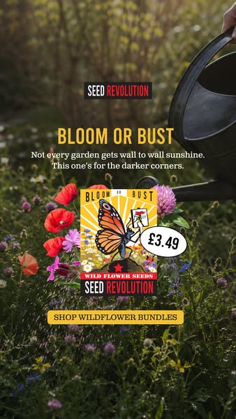 Meet Bloom or Bust