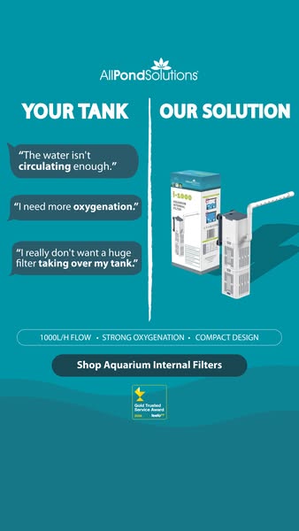 Keep Your Aquarium Healthy