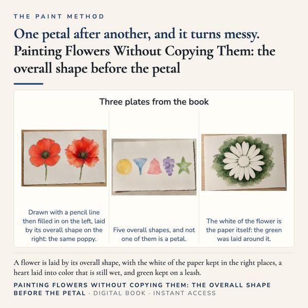 Painting Flowers Without Copying Them: the overall shape before the petal