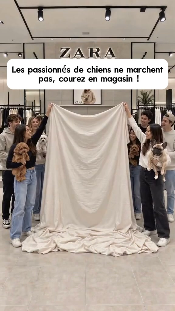 Livraison gratuite Sweat à capuche douillet pour animaux – avec poche intégrée pour chats et petits chiens
