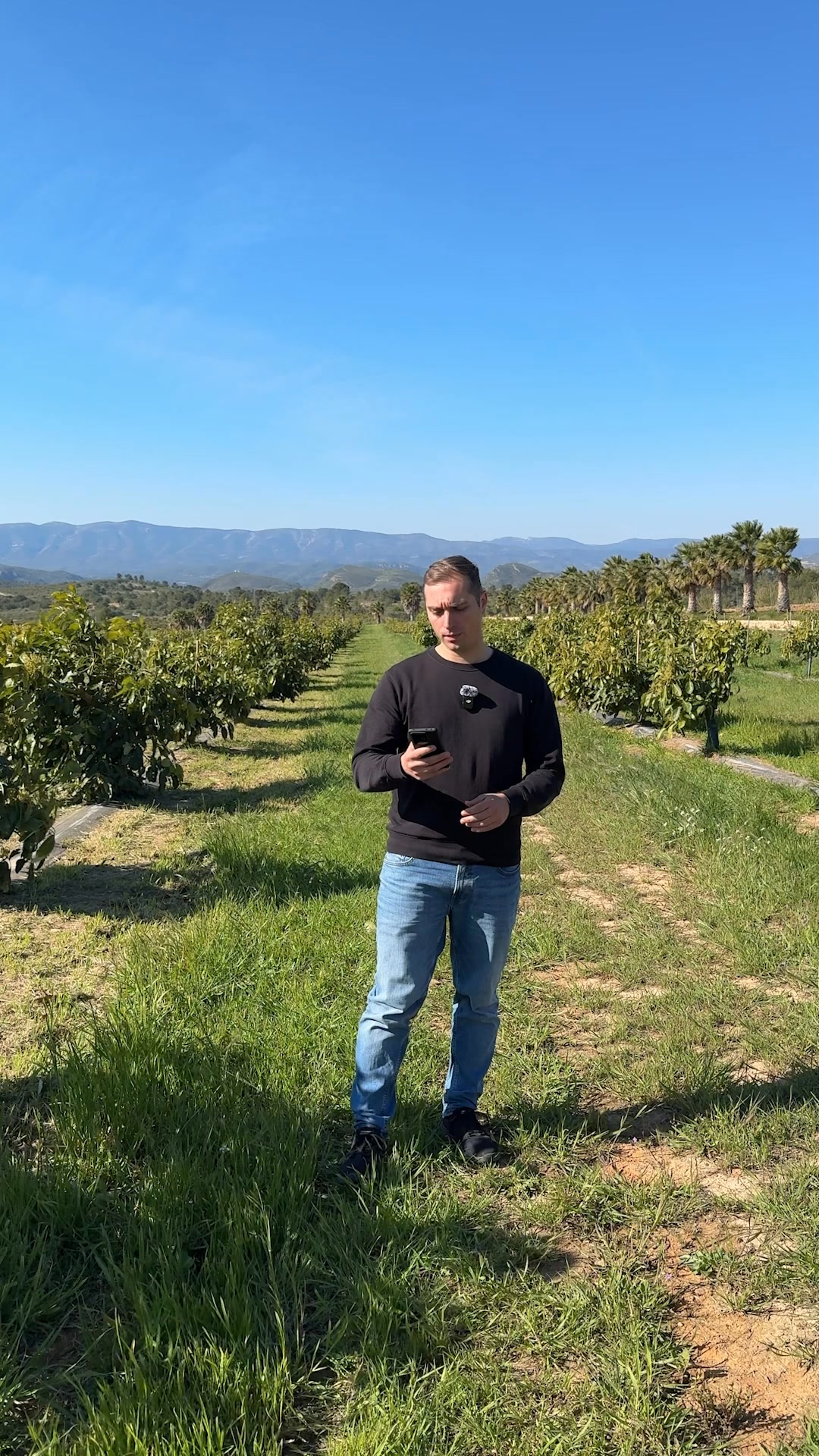 Fruta y verdura española
