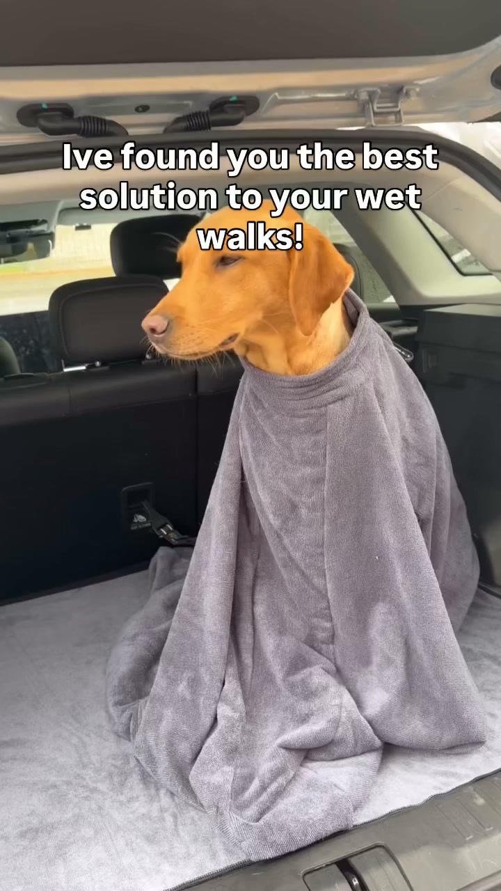 No More Muddy Paw Prints!
