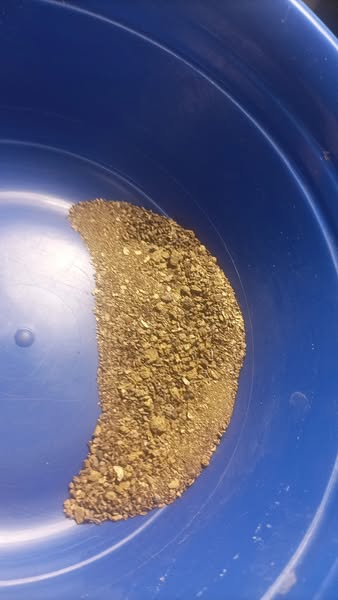 Gold Collection